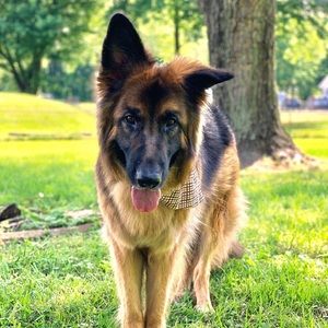 Meet your Posher, Chelsea